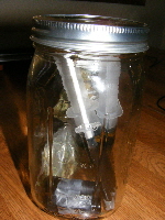 30 grams RSO-cannabis oil  and strain samples 2013_1130013